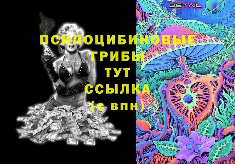 МЕГА   Сыктывкар  Галлюциногенные грибы Magic Shrooms 